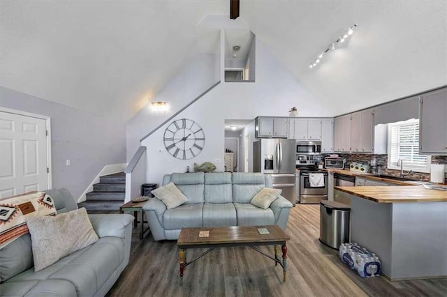 living room with track lighting, high vaulted ceiling, wood-type flooring, and sink