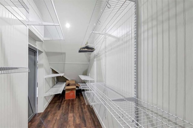 spacious closet with dark wood-type flooring