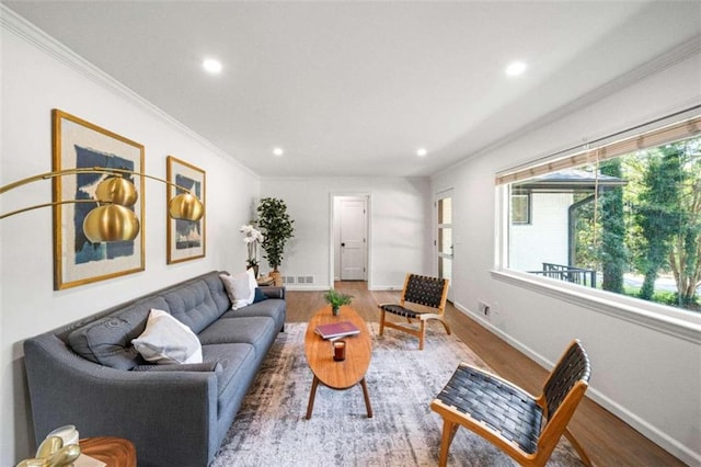 living room with crown molding and wood-type flooring