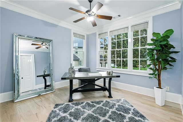 6225 Random Winds Blf, Gainesville, GA 30506 - office featuring ceiling fan, ornamental molding, and wood finished floors