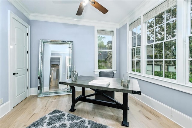 6225 Random Winds Blf, Gainesville, GA 30506 - home office featuring wood finished floors, ceiling fan, and ornamental molding