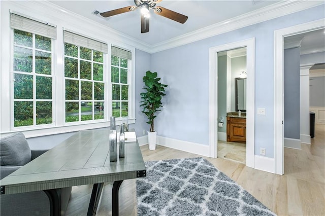 6225 Random Winds Blf, Gainesville, GA 30506 - office featuring ceiling fan, crown molding, and wood finished floors
