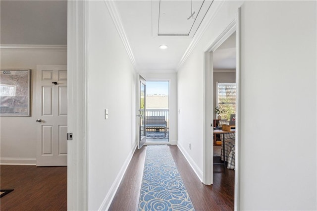 hall featuring dark wood-type flooring and crown molding