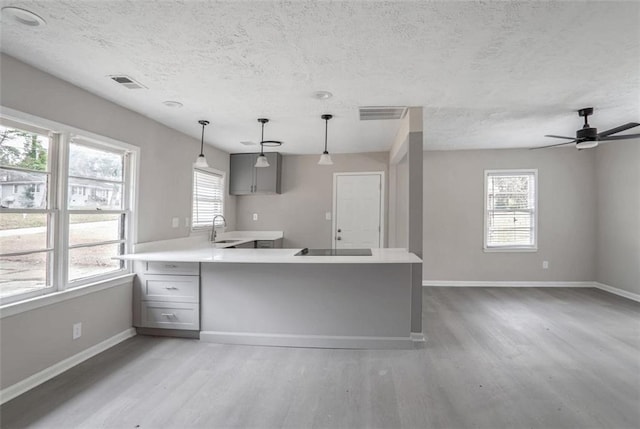 kitchen with light wood-style floors, baseboards, visible vents, and a sink