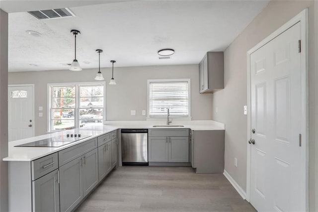 2945 Catalina Dr, Decatur, GA 30032 - kitchen with dishwasher, a sink, gray cabinets, and black electric cooktop