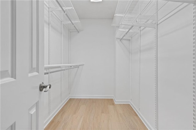 walk in closet with light hardwood / wood-style flooring