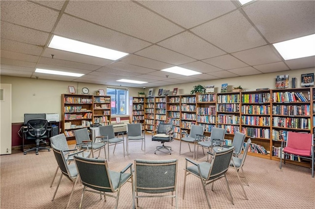 living area featuring light carpet and a drop ceiling