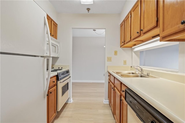 kitchen featuring sink, light hardwood / wood-style floors, and white appliances