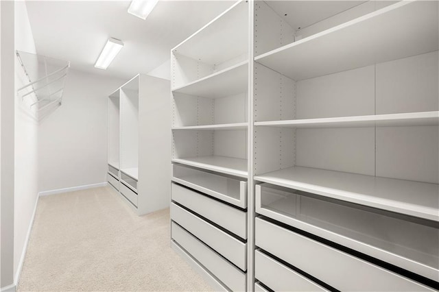 walk in closet with light colored carpet