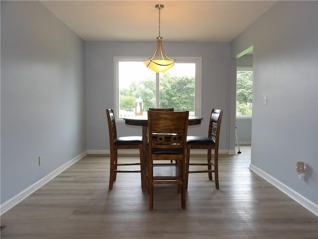 18 Greenmont Ct SW, Cartersville, GA 30120 - dining room with baseboards and light wood finished floors