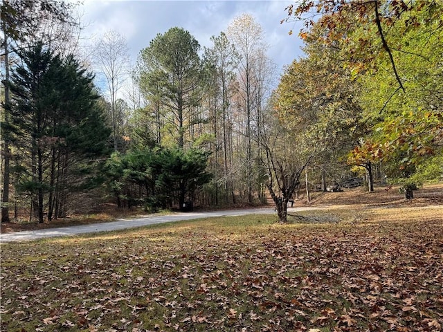 Listing photo 2 for 330 Pat Rich Dr, Canton GA 30115