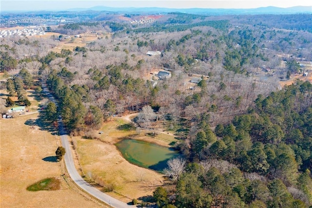 birds eye view of property with a water and mountain view