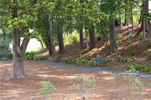 1247 Zucchini Cir SE, Atlanta, GA 30315 - view of yard