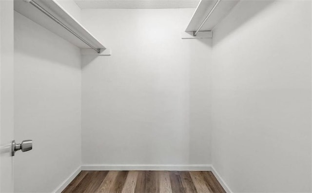 spacious closet featuring dark wood-style floors