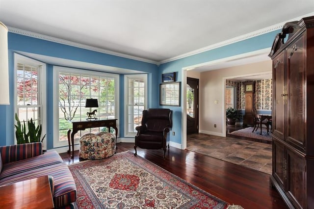 sitting room with ornamental molding and dark hardwood / wood-style floors