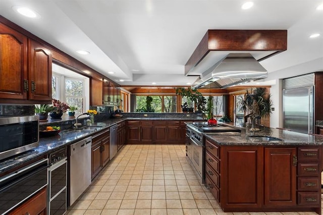 kitchen with sink, high end appliances, island exhaust hood, and a wealth of natural light