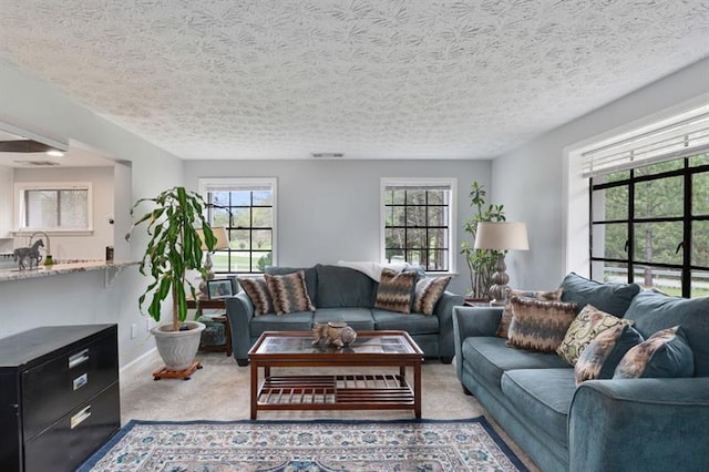 carpeted living room with a textured ceiling