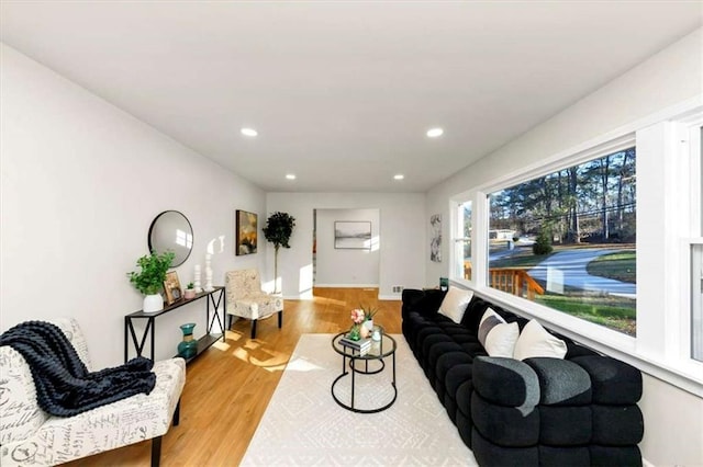 living room featuring hardwood / wood-style floors