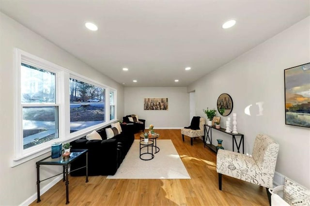 living room featuring wood-type flooring