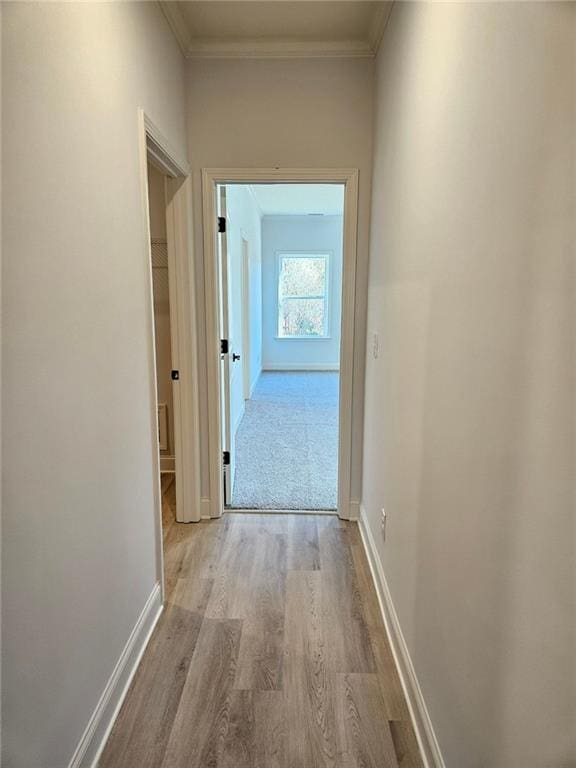 228 Trellis Walk, Macon, GA 31220 - hallway with wood finished floors, baseboards, and crown molding