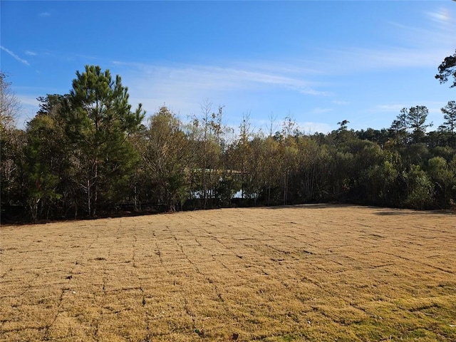 228 Trellis Walk, Macon, GA 31220 - view of yard