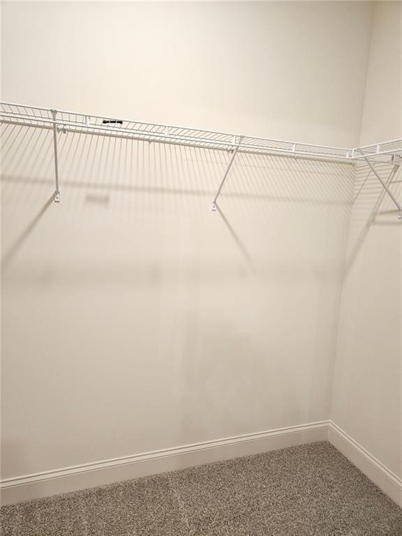 228 Trellis Walk, Macon, GA 31220 - walk in closet with carpet flooring