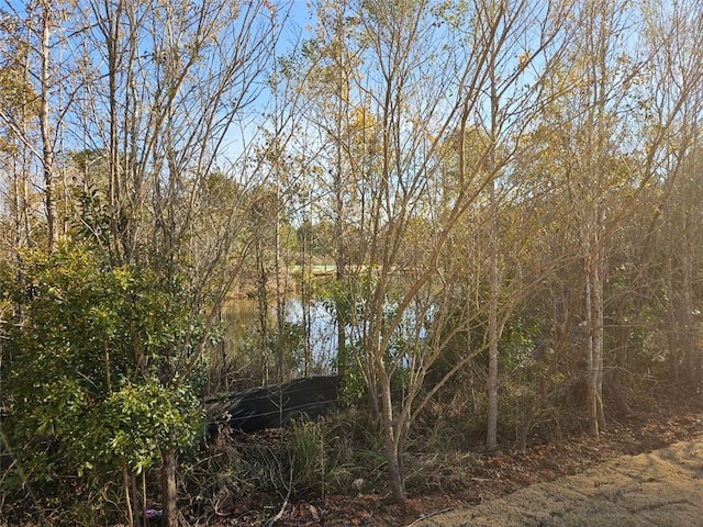 228 Trellis Walk, Macon, GA 31220 - view of local wilderness with a large body of water