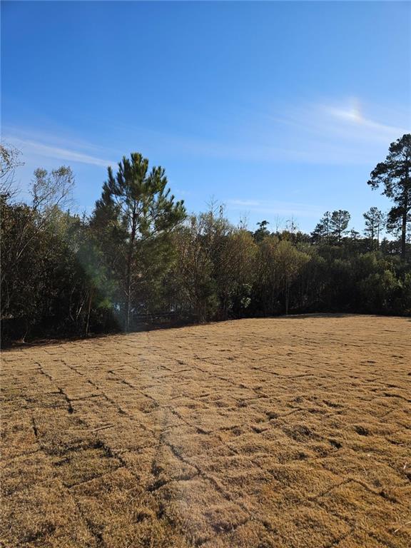228 Trellis Walk, Macon, GA 31220 - view of yard