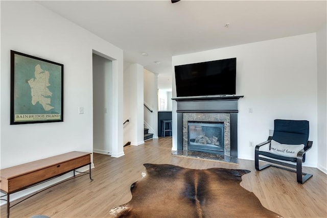 living room featuring a premium fireplace and light hardwood / wood-style flooring