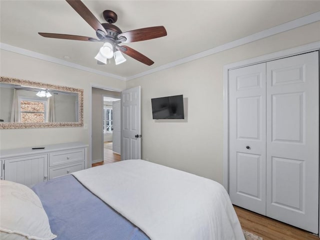 bedroom featuring crown molding, a closet, ceiling fan, and light hardwood / wood-style flooring