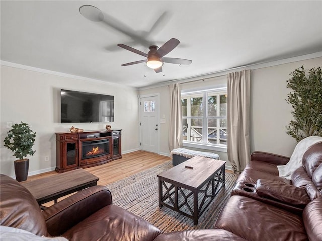 living room featuring crown molding, ceiling fan, and light wood-type flooring