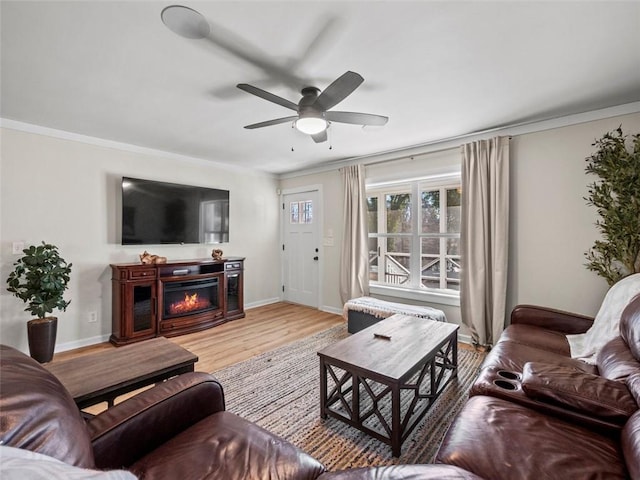 living room featuring ceiling fan, ornamental molding, and light wood-type flooring