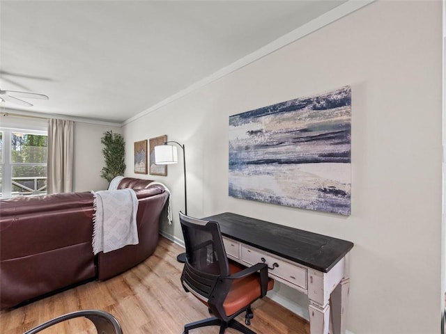 home office with light hardwood / wood-style flooring, ornamental molding, and ceiling fan