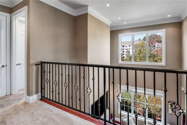 hallway with ornamental molding and carpet flooring