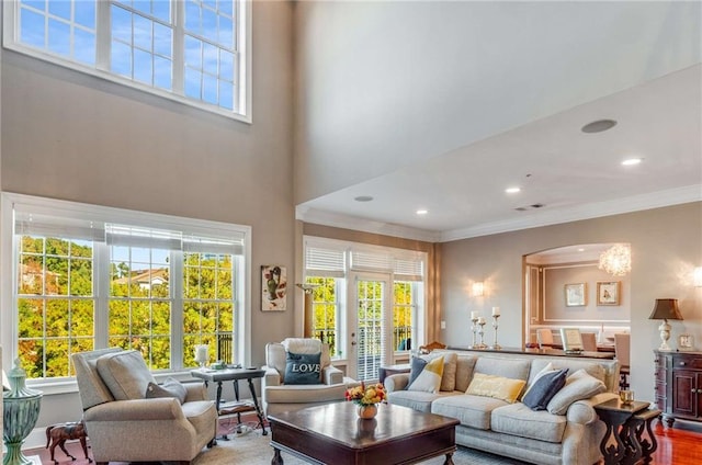 living room featuring hardwood / wood-style flooring, a high ceiling, and ornamental molding