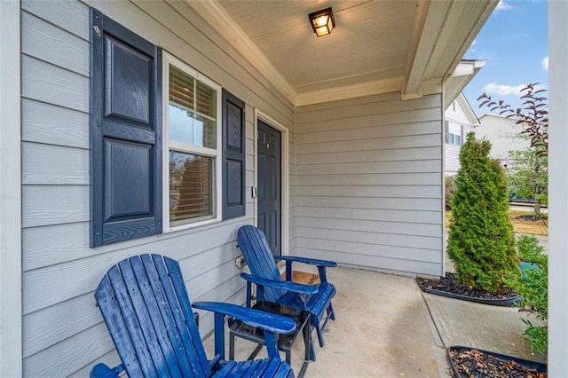 view of patio / terrace featuring covered porch