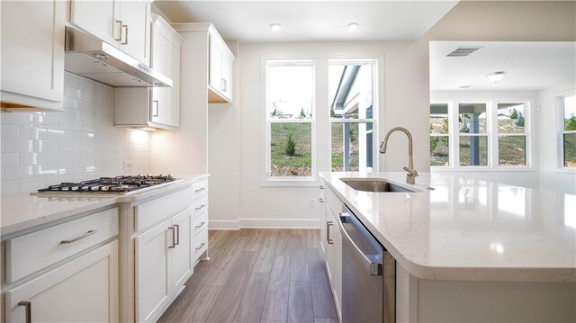 kitchen featuring a wealth of natural light, light hardwood / wood-style floors, stainless steel appliances, and sink