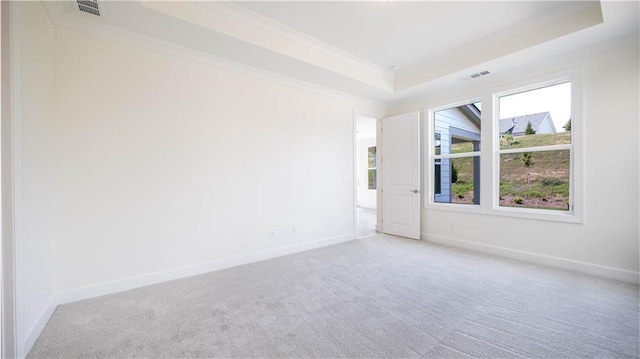 carpeted spare room featuring a raised ceiling and crown molding