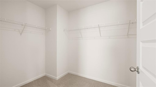 605 Lobelia Way, Locust Grove, GA 30248 - spacious closet featuring light carpet