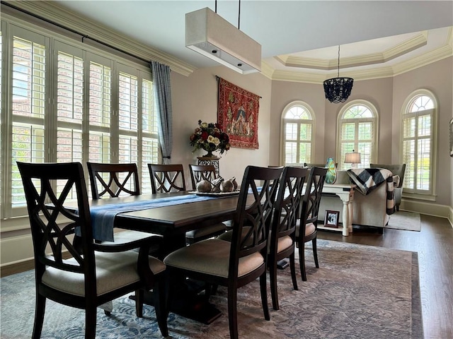 dining room featuring ornamental molding, dark wood-style flooring, a raised ceiling, and a healthy amount of sunlight