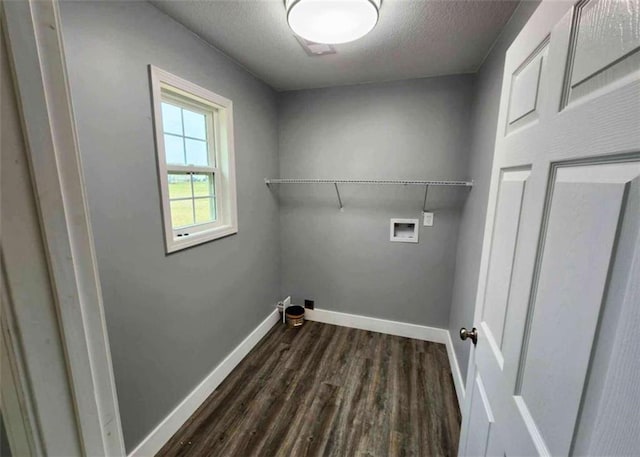 washroom with washer hookup, dark wood-type flooring, and a textured ceiling