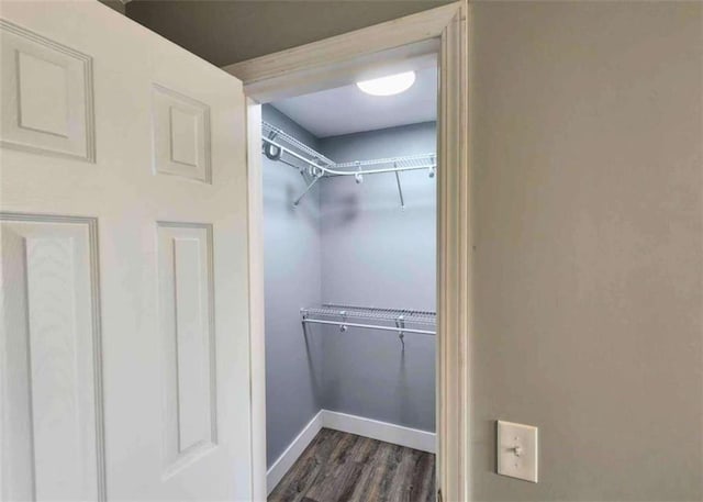 walk in closet featuring dark hardwood / wood-style flooring