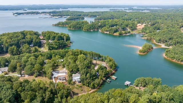 bird's eye view with a forest view and a water view