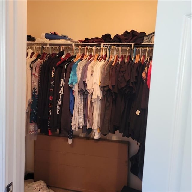 view of spacious closet