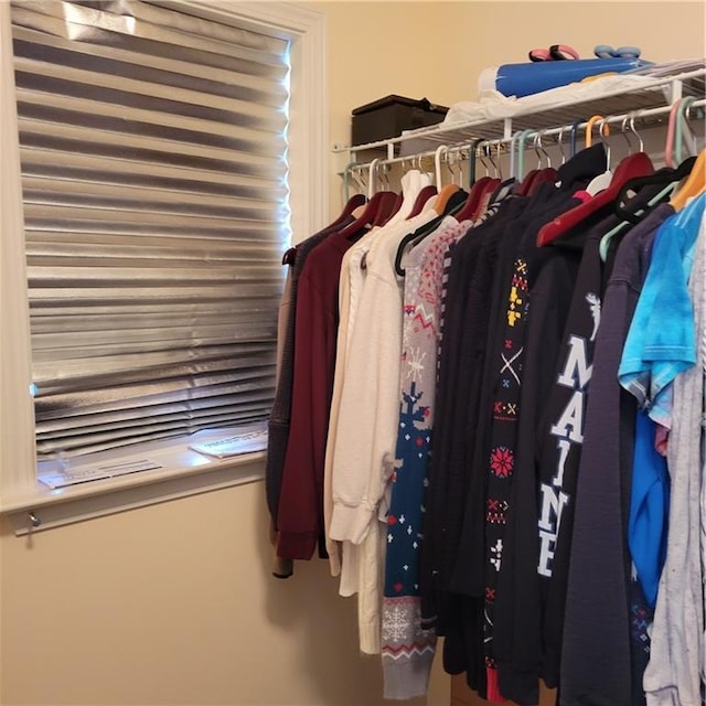 view of spacious closet