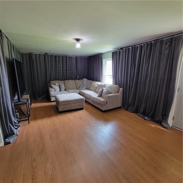 living room with wood-type flooring