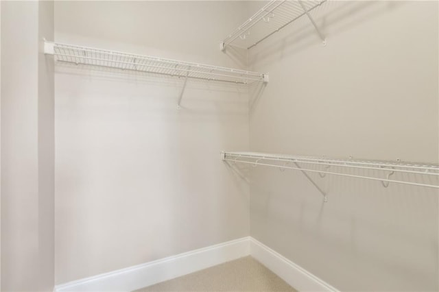 view of walk in closet