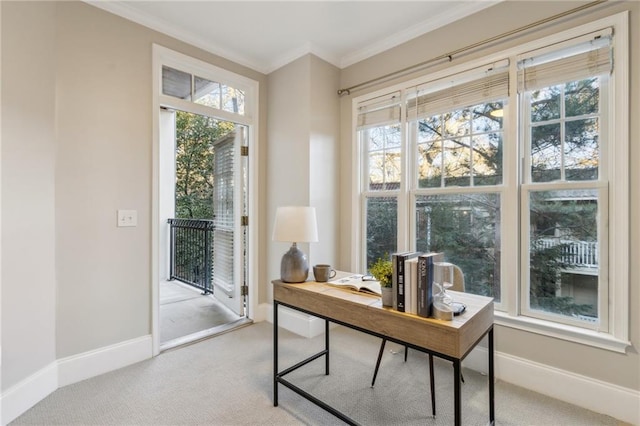 home office featuring ornamental molding, carpet flooring, and baseboards