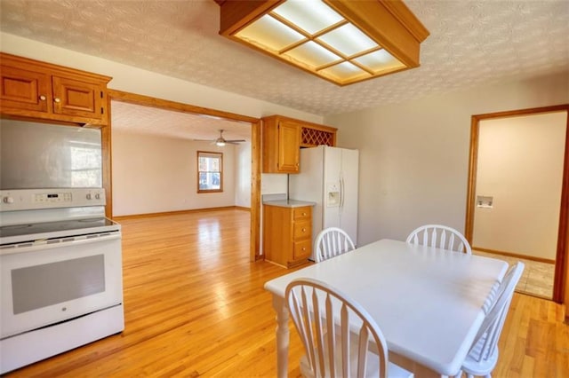 dining room with ceiling fan, a textured ceiling, and light hardwood / wood-style floors