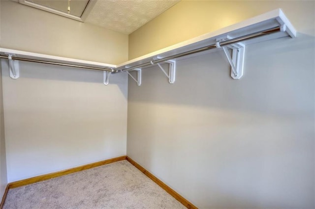 spacious closet with light carpet